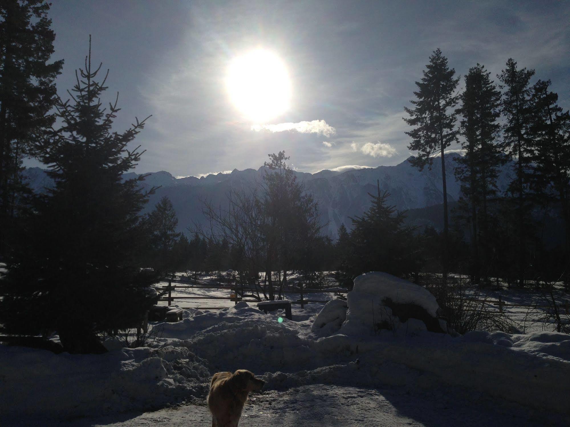 Sweetwater Lane Farm Villa Mount Currie Exterior foto